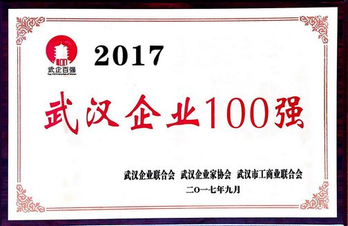 2017武汉企业100强奖牌.jpg